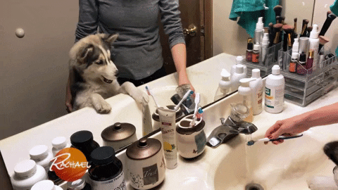 172345qp5s3nhxapoxs9dx.gif