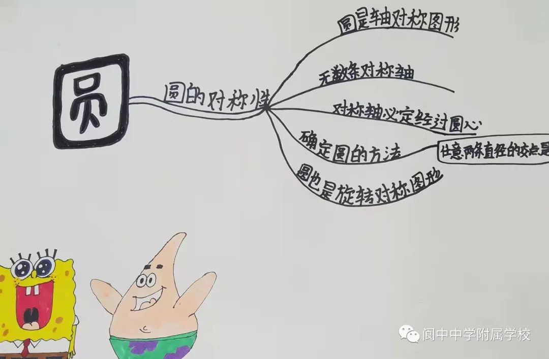 152243pxyb313hk8ox3xdd.jpeg
