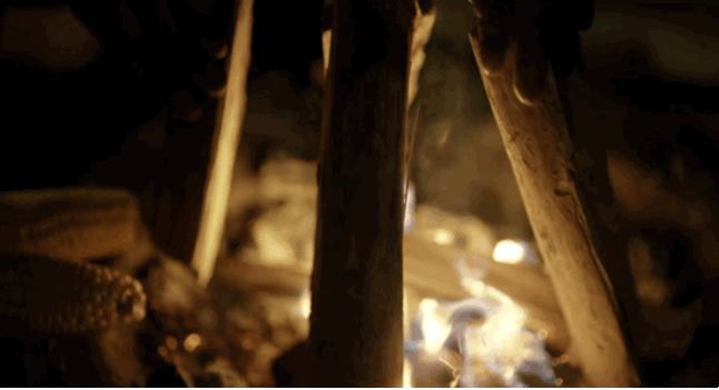082427y111xz1777v77six.gif