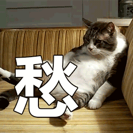 141835fjkvj2njfzdj6zeh.gif