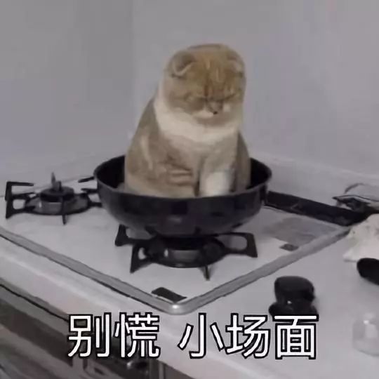 141835tv8eszv00pws0psq.jpeg