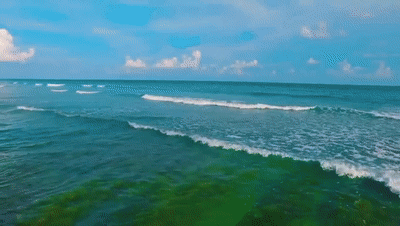 172306cwrzrqriihrwni3q.gif