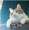 165822sveqe24ef1ypq2ox.png