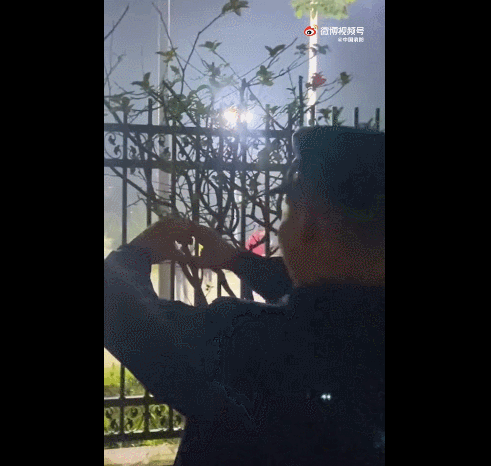 144002kfj3diz6jzsksvhr.gif