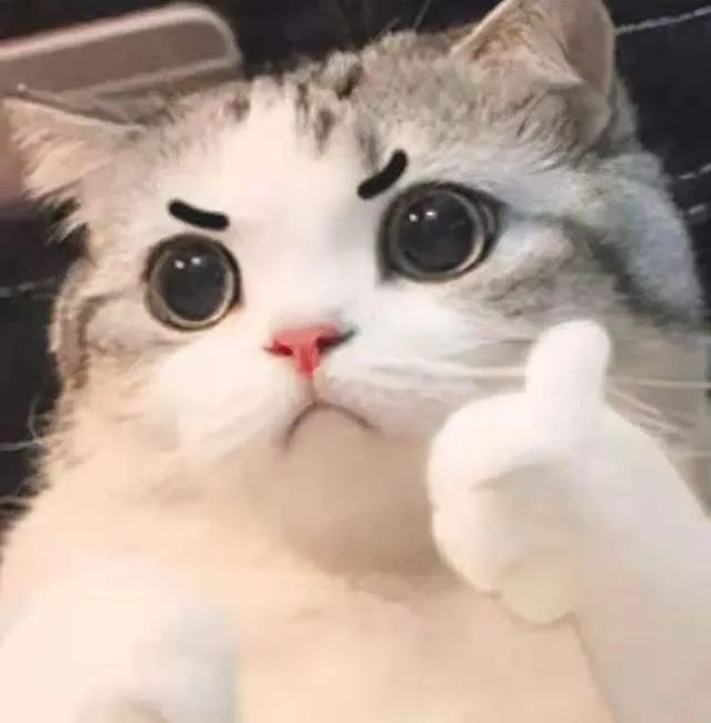 155759zai67oxgi7n8c3ci.jpeg