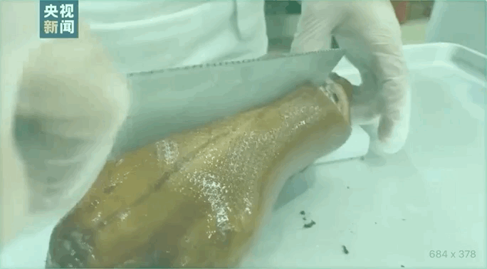090458llqirx1ni7z77x28.gif