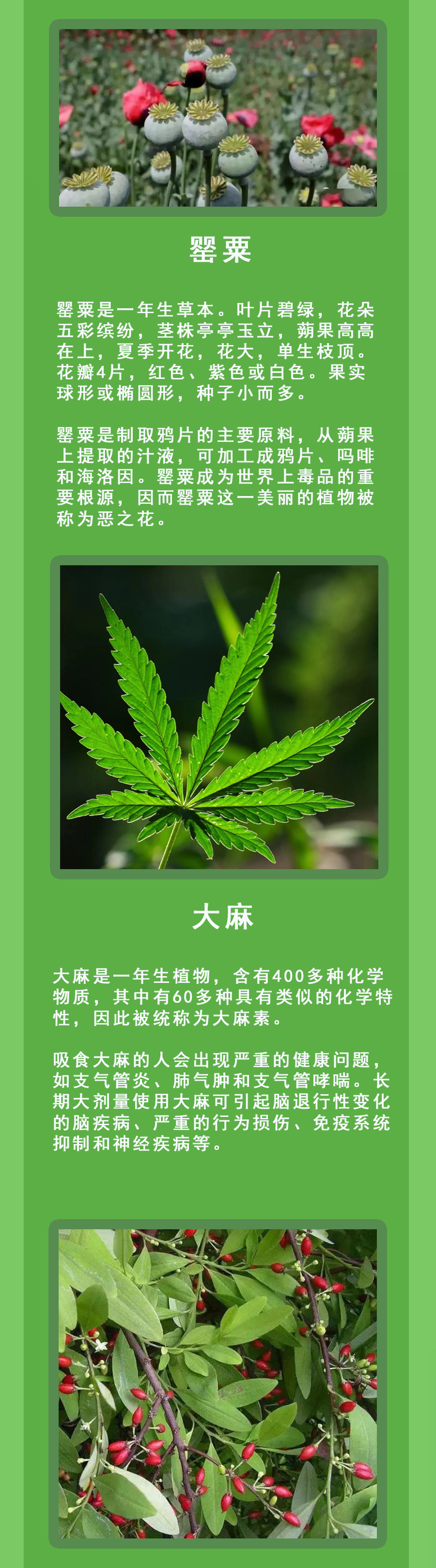 085544rsoonvjzwzq3393s.png