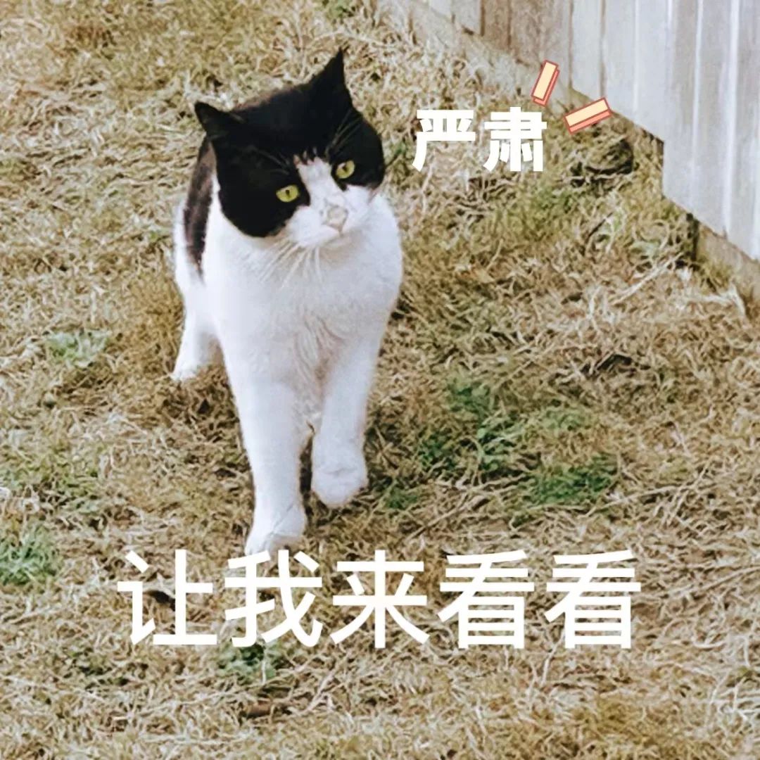 084136xu5e6bvm7uubdf4h.jpeg