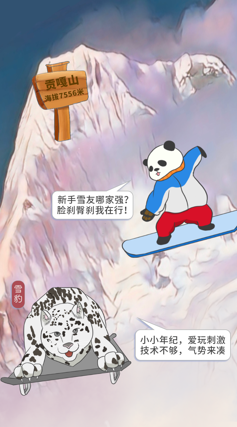 091535kk872ddimk4s3rt6.png