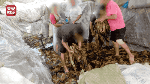091533fo9yyttontfomwtw.gif