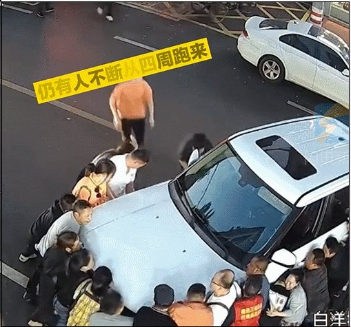 153148hl68e01lll9qw2zu.gif