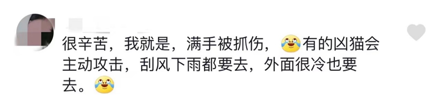 092633yl6a6zlevn0f0a6o.png