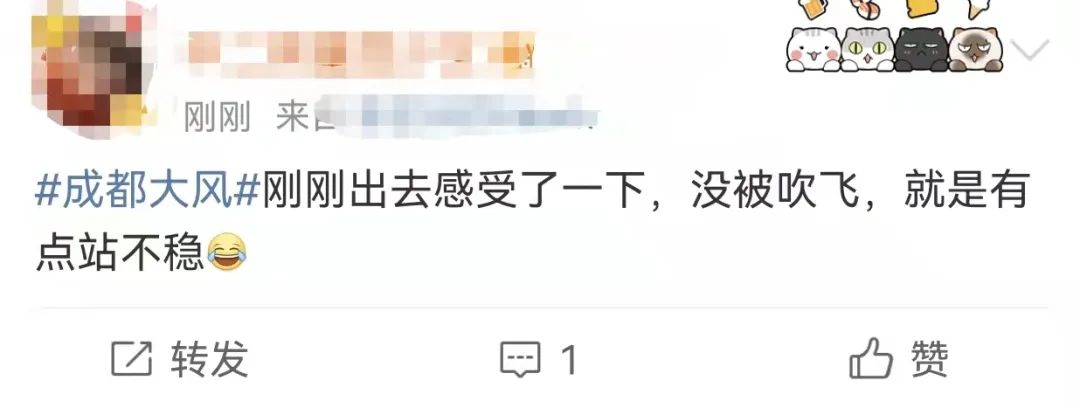 102549ubau7ueixby4qzrq.jpeg