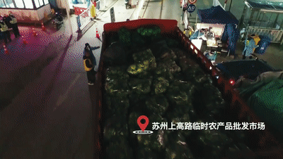 110053md41n43iyydd2dyi.gif