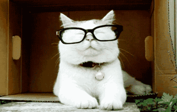 171306mtswsx0r3t201z1t.gif