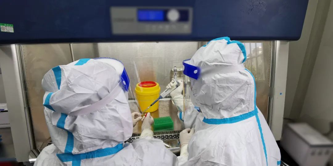 160750jlct4byrifo4ftcf.jpeg