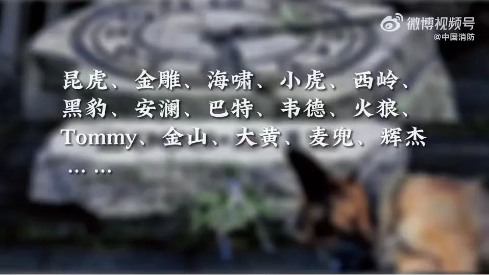 140553izc4666636pfpl6l.jpeg