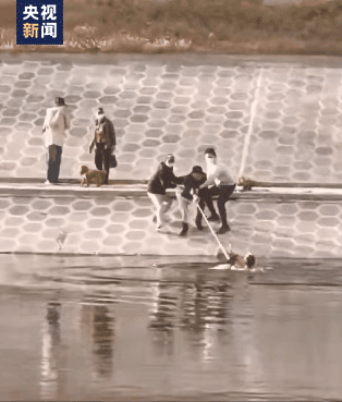 141721eiannwy01kmiz4k5.gif