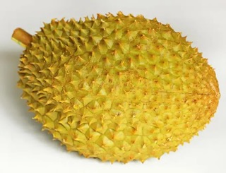 src=http___img.2qqtouxiang.com_pic_TP9908_06.jpg&amp;refer=http___img.2qqtouxiang Sm.jpeg