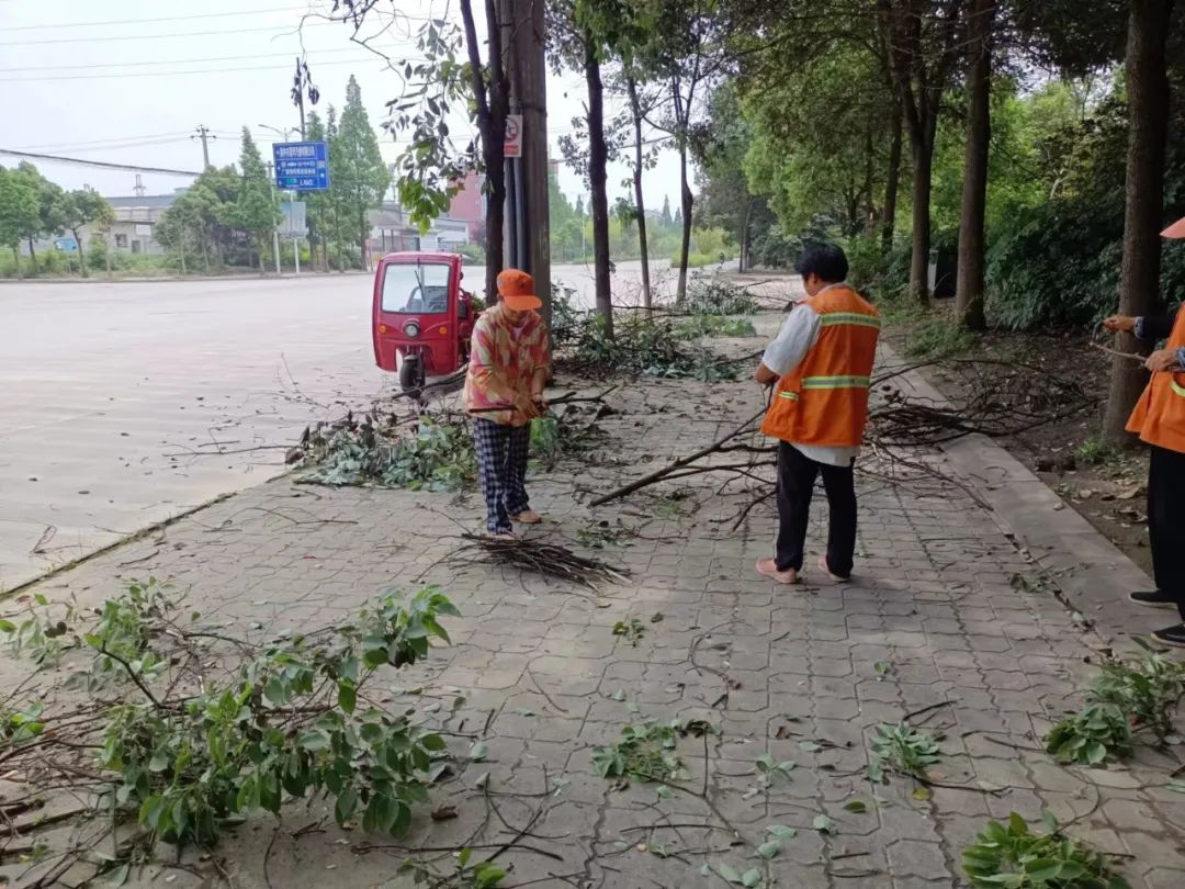 164805jpbkk8wkktkwn8kk.jpeg