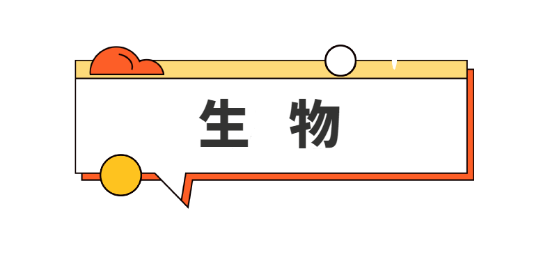 153528o4of5b6k4f5w333s.png