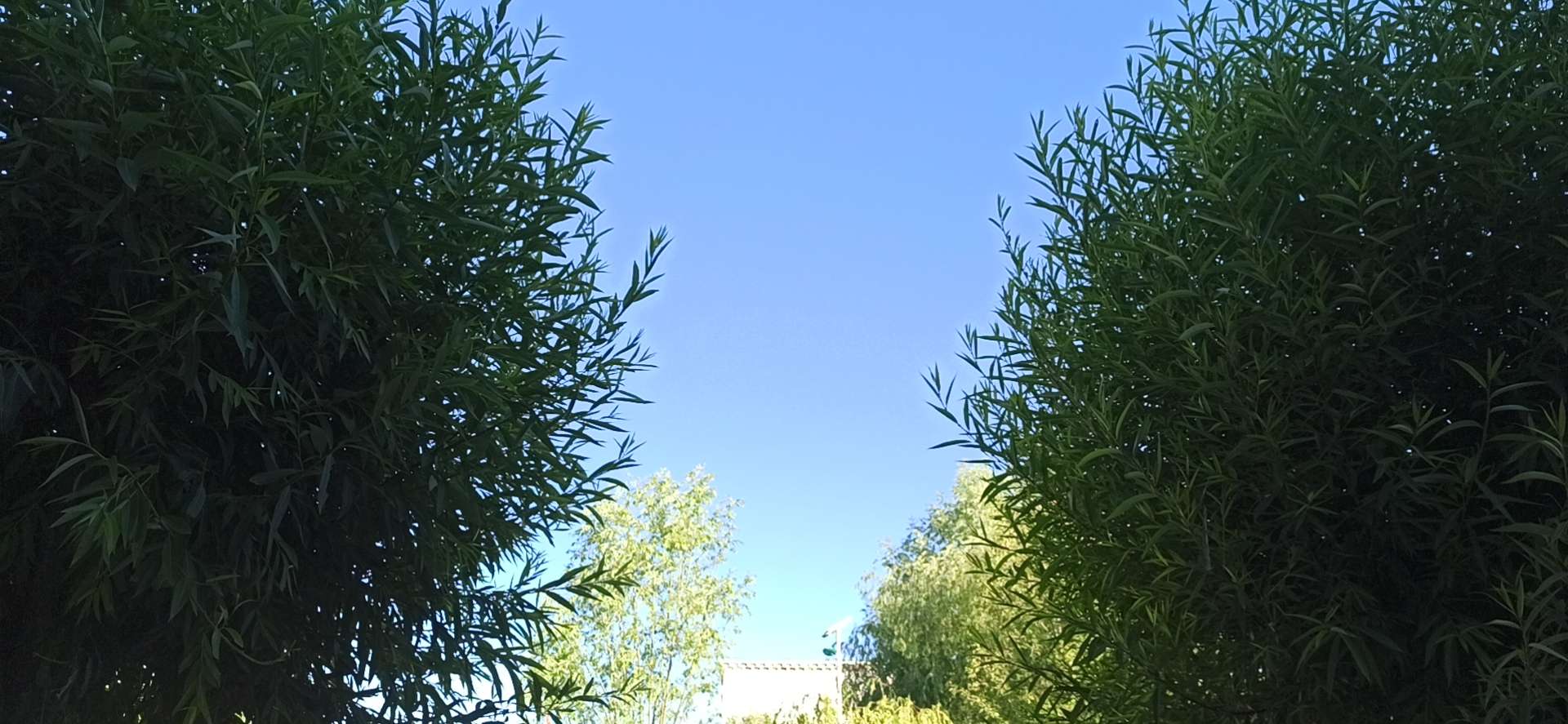 20220705084032front2_0_1041_FqWuGCXrw8UMlHHVJiRk9XQfwZn7.jpg