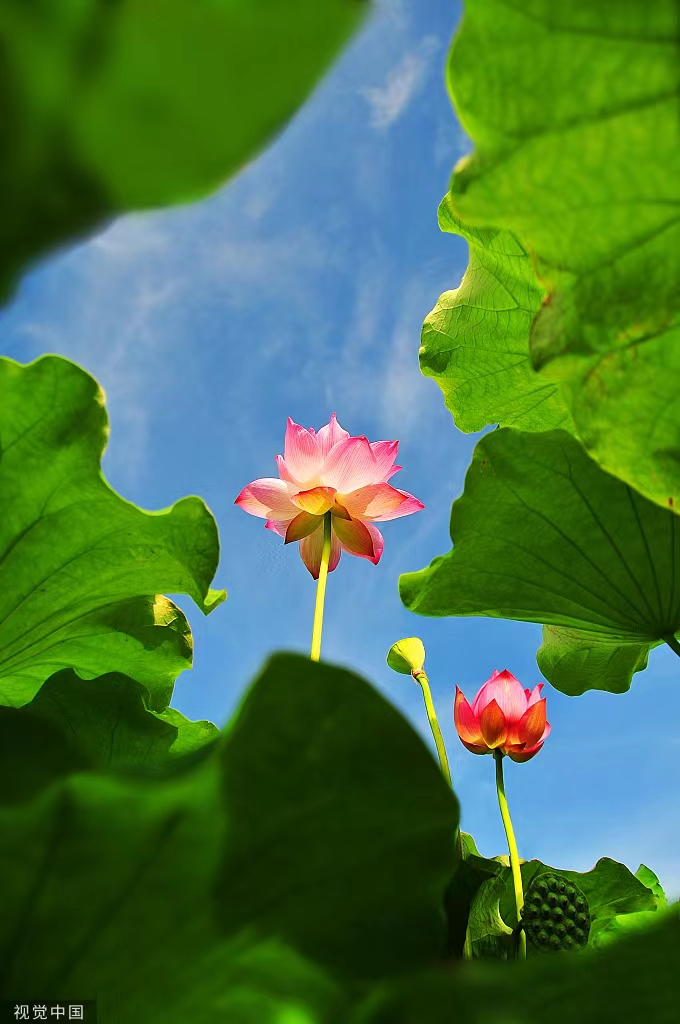 091812tkhp5c88f8keotmi.png