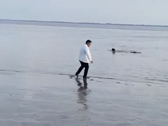 164010h9jfc2ap9vjz8sa2.gif