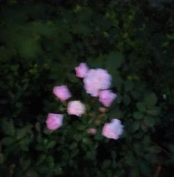 20220804103935front2_0_63_FnwgYakvkJQ_cuAGaNEqb2ZQ9Yfk.jpg