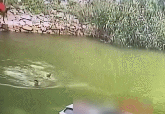 141347pgz18az1gyaaugig.gif