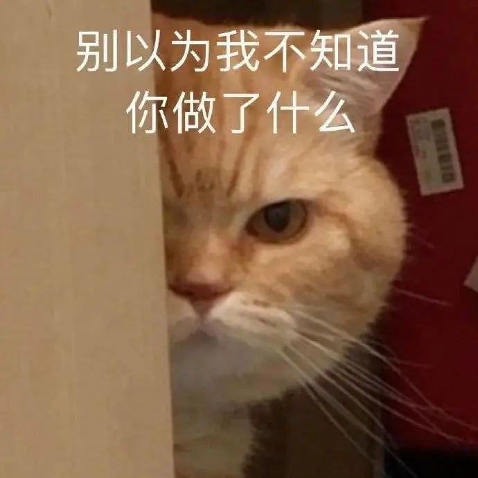 140558d8hwtwvbo8329kot.jpeg