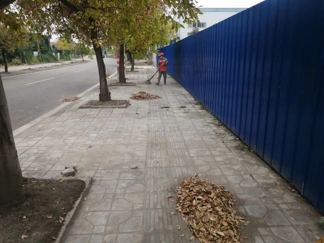 141224btybvtogyzpzvuoo.jpeg