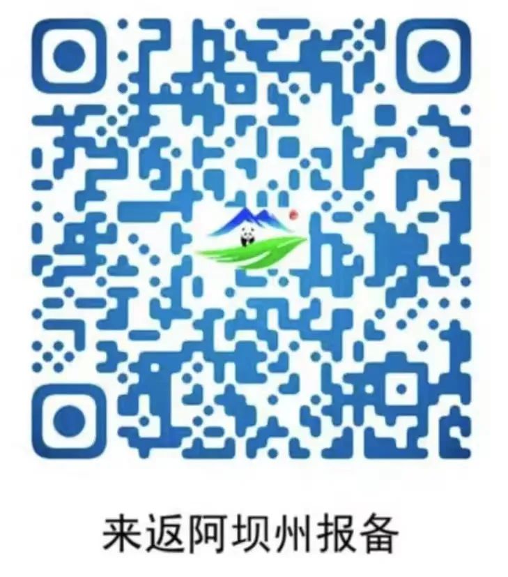 145617p1b3gf1gig7g3pad.jpeg