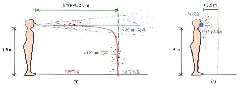 085611bxnb607dbb977dc7.png