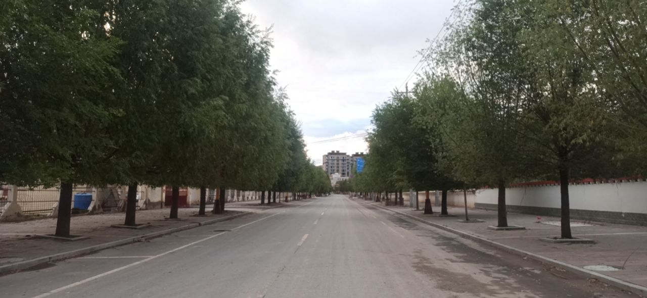 20220924090551front2_0_1041_Fjlq1BlIRV-iVa_Ss5_QwcCJseon.jpg