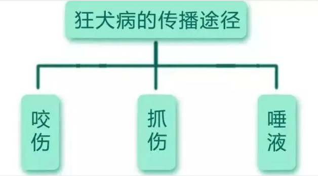 094104uefv5sxrgx5gfvok.png