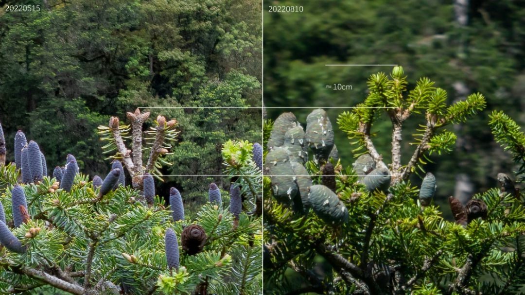 154055i0f6gygx91y9h0x9.png