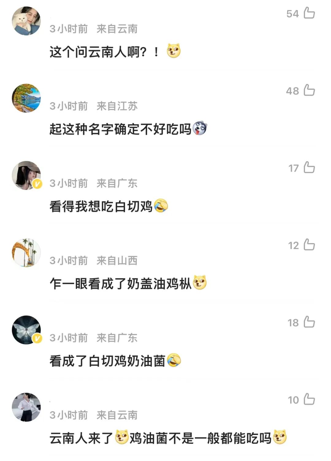155435jsx2fu1afb1qu8wq.jpeg