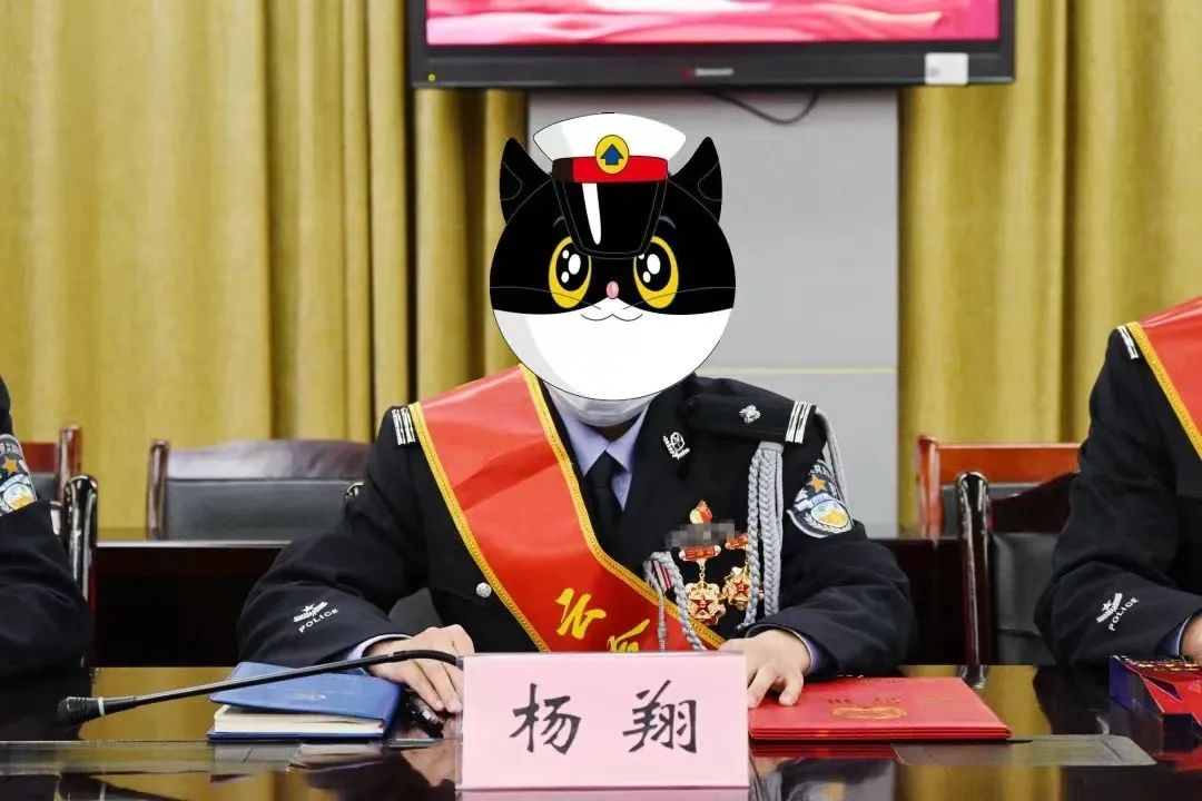 150012jleu7by8zeniln6f.jpeg