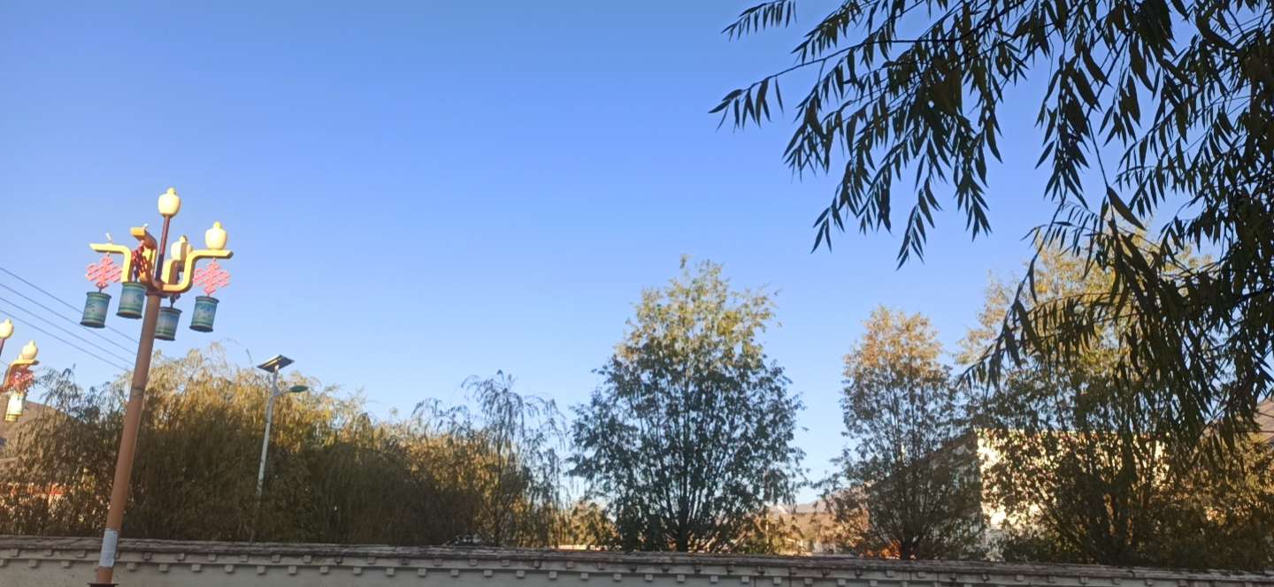 20221107085804front2_0_1041_FlpxQ_Uh1DGyk0J_-PAFcle02b_A.jpg