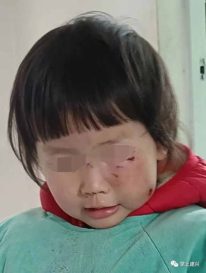 160035vb11jpobp2bpbgom.jpeg