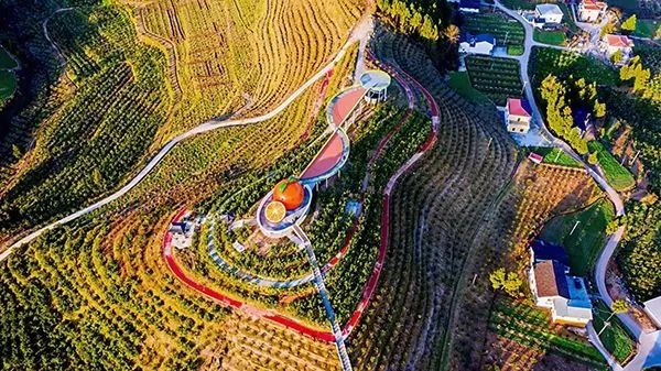 174422iwnchhcccxhcmd4o.jpeg