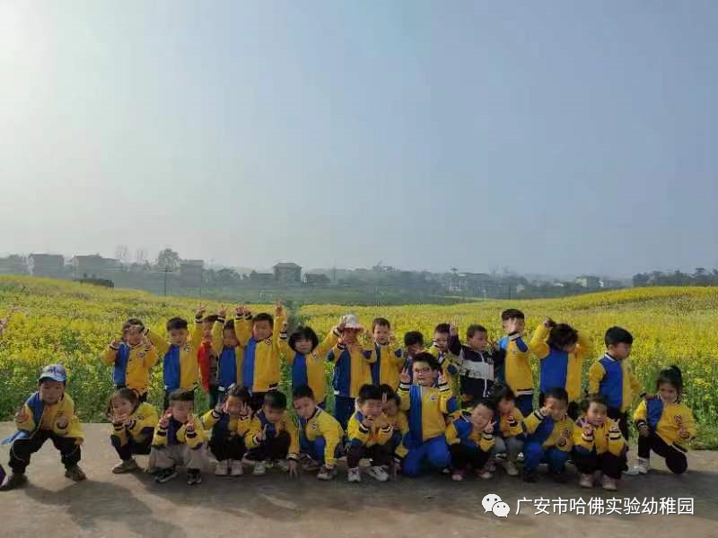 142819z7ahy7pixxwxrx8i.png