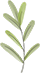 100330vvv9g03kzyy6oe9q.png