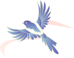 092900xjzcq89bpfso8cqo.png