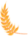 101843tu77jfvj6y8001n1.png