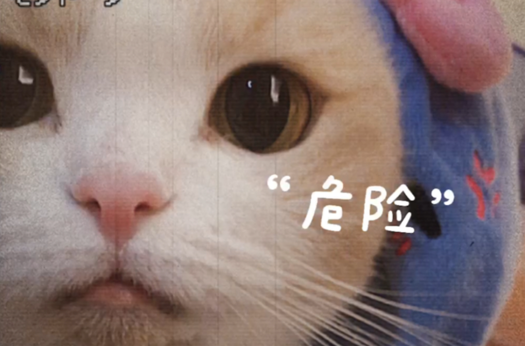 103839iiw0h7w75hiswnvv.png