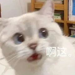 095303xrooi5645chodw3w.jpeg