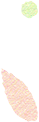 101047pb2tf18hblr1llto.png