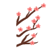 152909b4d5dg43bq0p0dzg.png